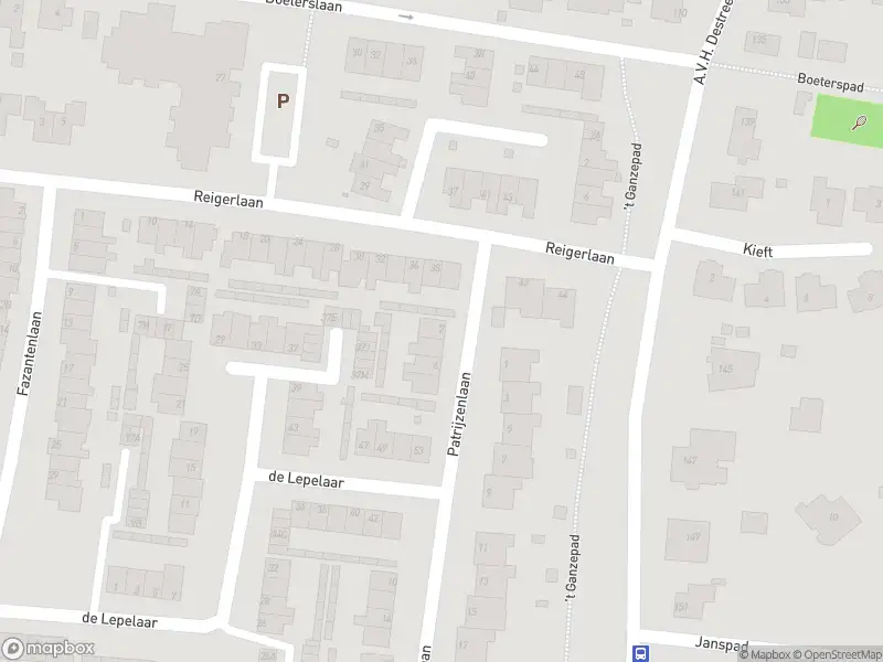 Overlastmelding Patrijzenlaan in Sint Pancras