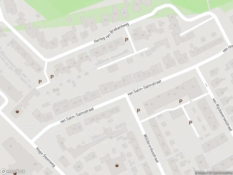 Overlastmelding Van Salm-Salmstraat in Loon op Zand