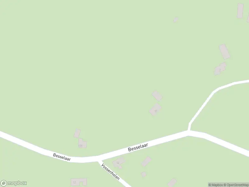 Overlastmelding Besselaar in Gemonde gesloten