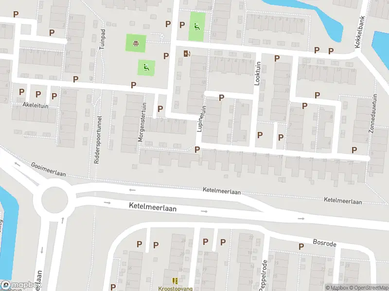 Ambulance met gepaste spoed naar de Saffraantuin in Leiden