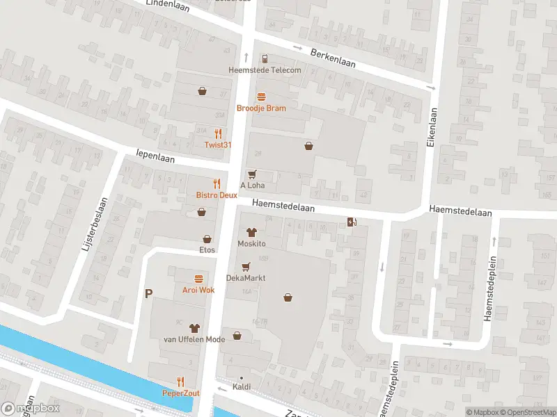 Ambulance met gepaste spoed naar de Haemstedelaan in Heemstede