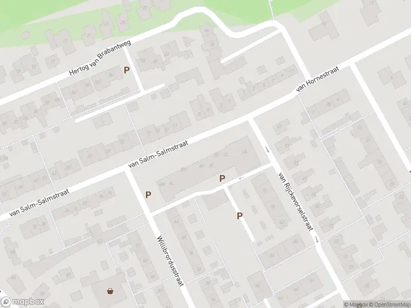 Overlastmelding Van Salm-Salmstraat in Loon op Zand