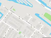 Overlastmelding Penningkruid in Puttershoek