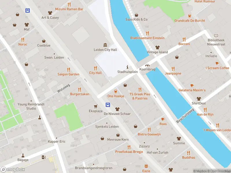 Ambulance met gepaste spoed naar de Koornbrugsteeg in Leiden