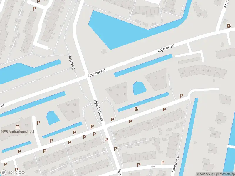 Ambulance met gepaste spoed naar de Anthuriumsingel in Berkel en Rodenrijs