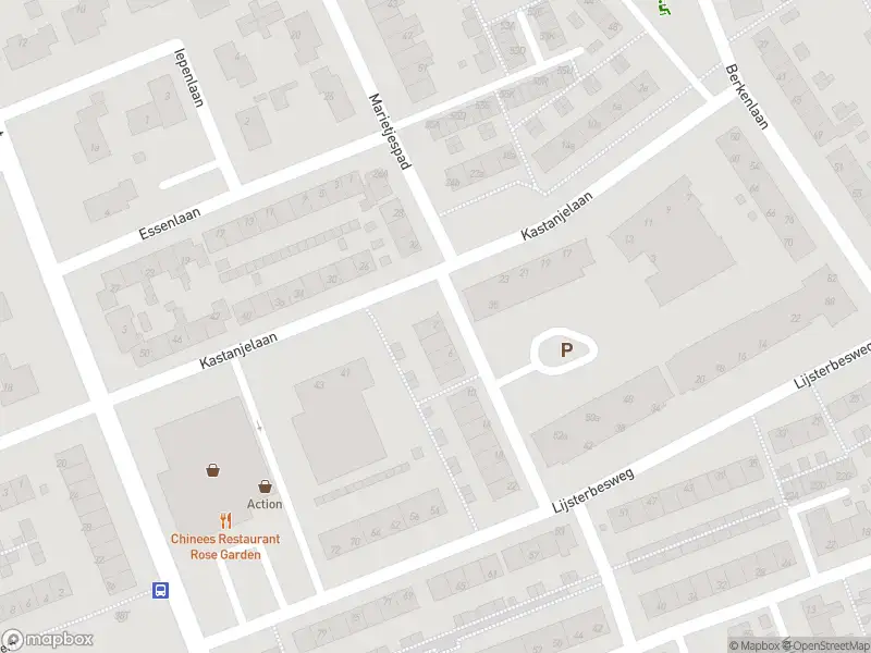 Ambulance met gepaste spoed naar de Verlengd Marietjespad in Middelharnis