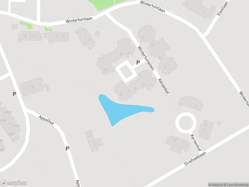 Traumahelikopter met grote spoed naar de Wintertuinplein in Noordwijk