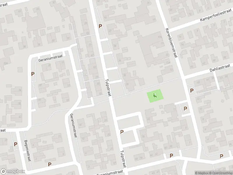 Overlastmelding Tulpstraat in Sint Willebrord gesloten