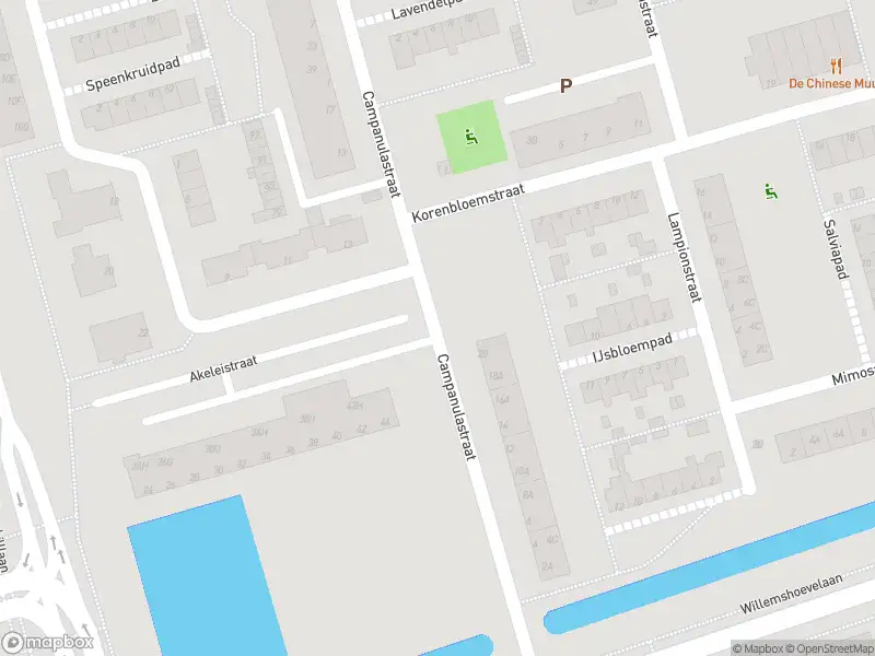 Ambulance met gepaste spoed naar de Campanulastraat in Spijkenisse