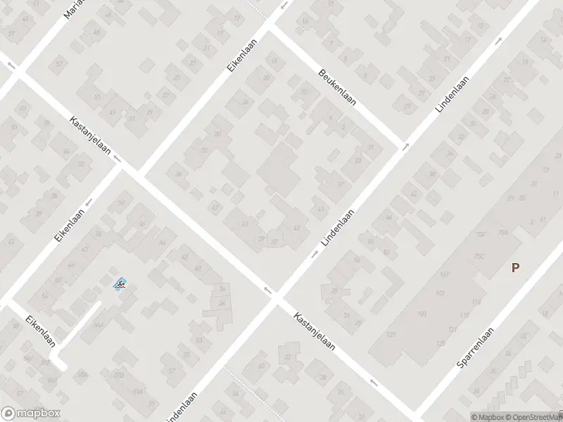 Ambulance met gepaste spoed naar de Kastanjelaan in Zwanenburg