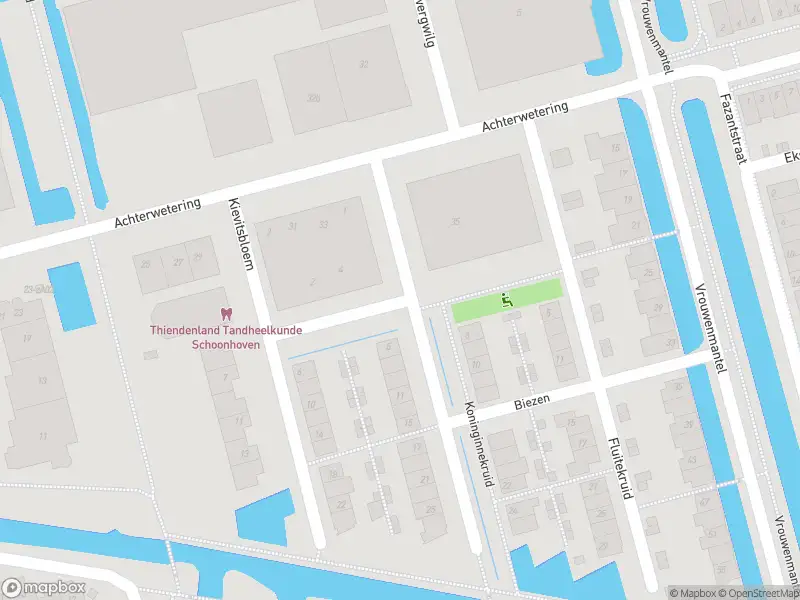 Ambulance met grote spoed naar de Koninginnekruid in Schoonhoven