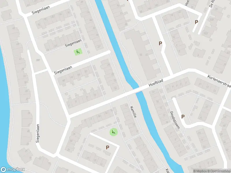 Overlastmelding Kamille in Rijnsburg gesloten