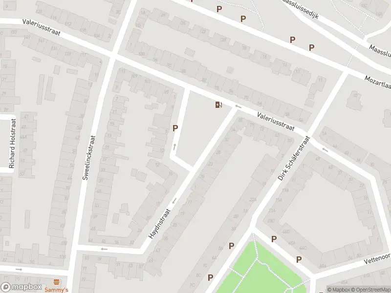 Ambulance met grote spoed naar de Orelioplantsoen in Vlaardingen