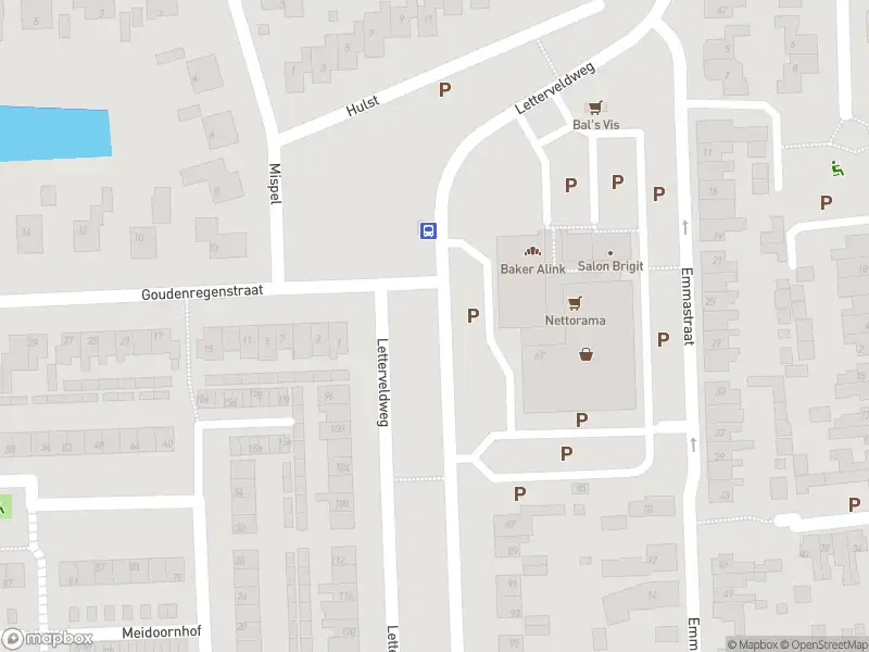 Brandweer met gepaste spoed naar de Wingerdstraat in Borne vanwege stormschade