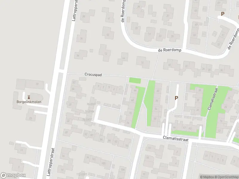 Brandweer met gepaste spoed naar de Crocuspad in Denekamp vanwege stormschade