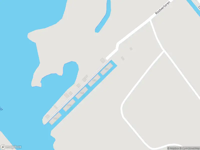 Brandweer naar de Kostverloren in Heerenveen