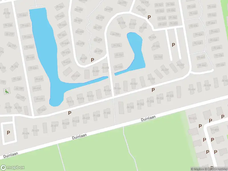 Politie naar de Duinlaan in Kaatsheuvel