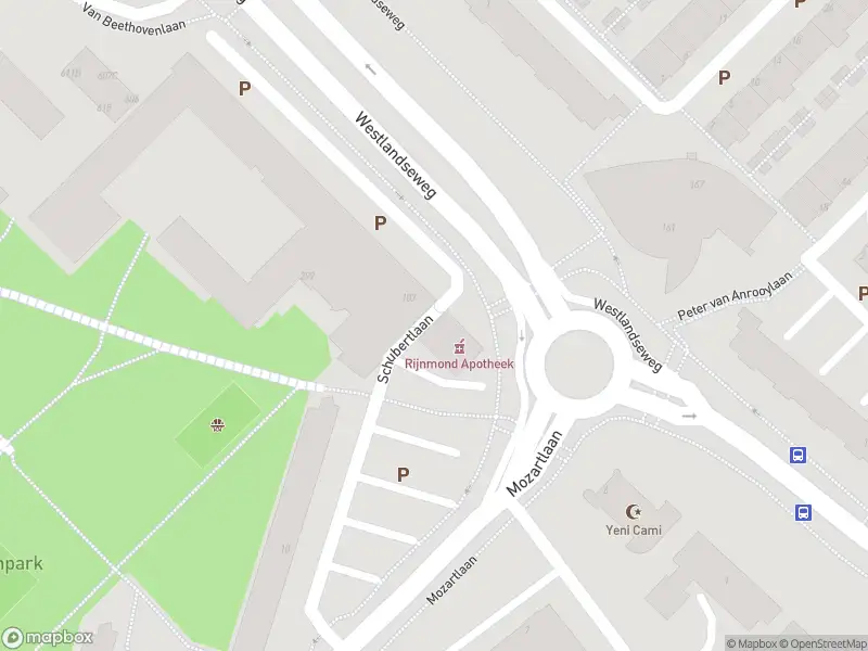 Overlastmelding Schubertlaan in Maassluis