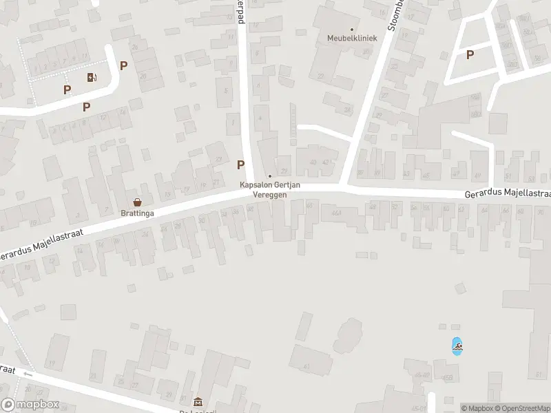 Overlastmelding Gerardus Majellastraat in Dongen