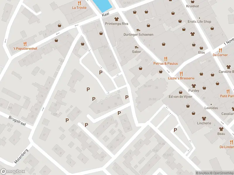 Brandweer met grote spoed naar de Vleeshouwerijstraat in Sluis