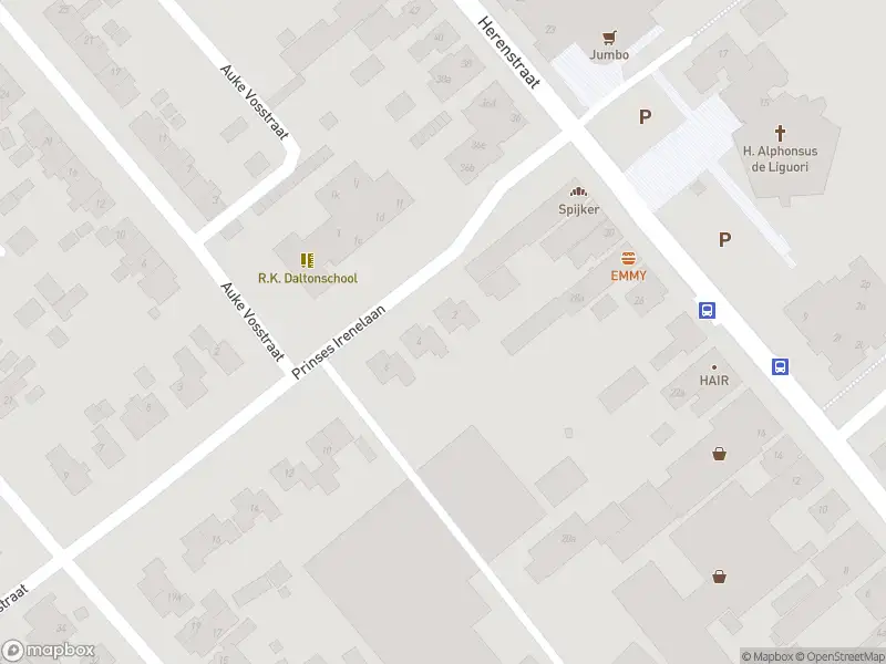 Brandweer met gepaste spoed naar de Dokter Willemslaan in Slagharen