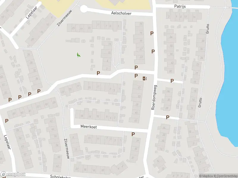 Overlastmelding Waterhoen in Oud-Beijerland