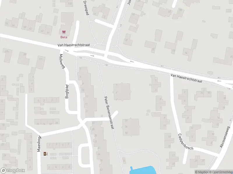 Overlastmelding Peter Benensonstraat in Goirle