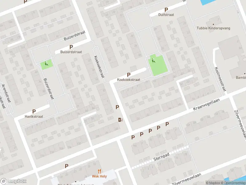 Ambulance met gepaste spoed naar de Koekoekstraat in Vlaardingen