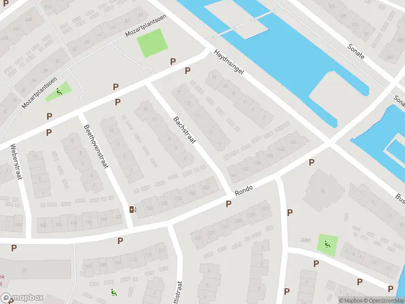 Overlastmelding Bachstraat in Sliedrecht