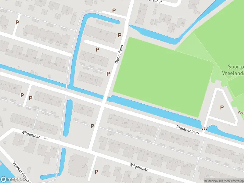 Overlastmelding Platanenlaan in Nederhorst den Berg (1394 JR)