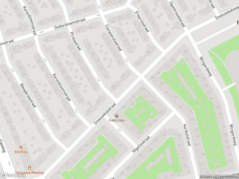 Brandweer met gepaste spoed naar de Sneeuwbalstraat in Amsterdam