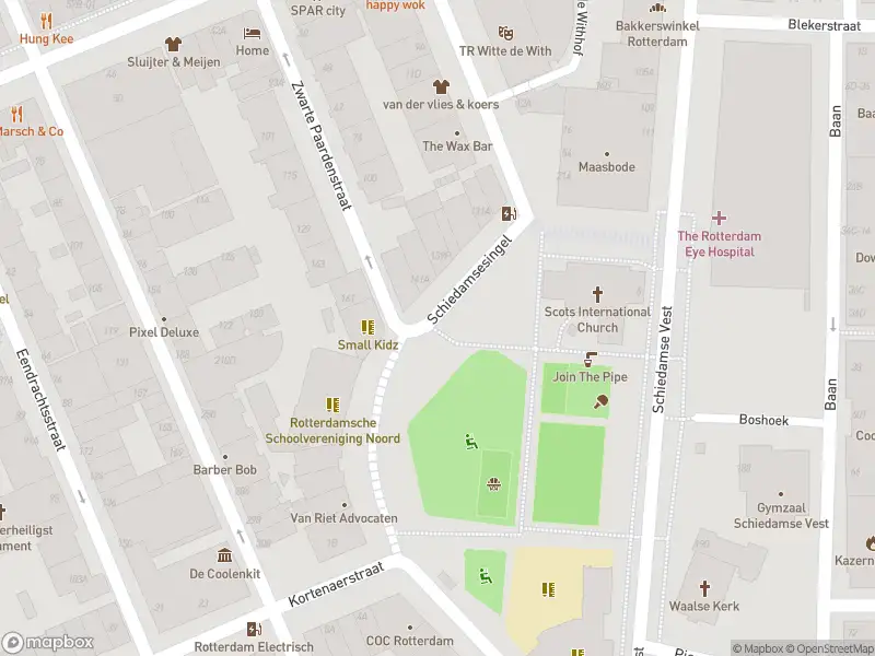 Politie naar de Coolsingel in Rotterdam