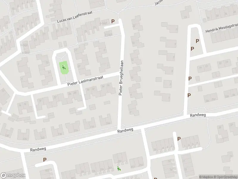 Brandweer met grote spoed naar de Pieter Brueghellaan in Meppel vanwege gebouwbrand