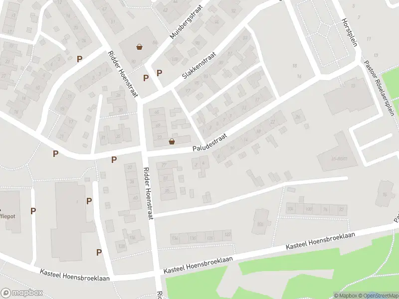 Overlastmelding Paludestraat in Hoensbroek