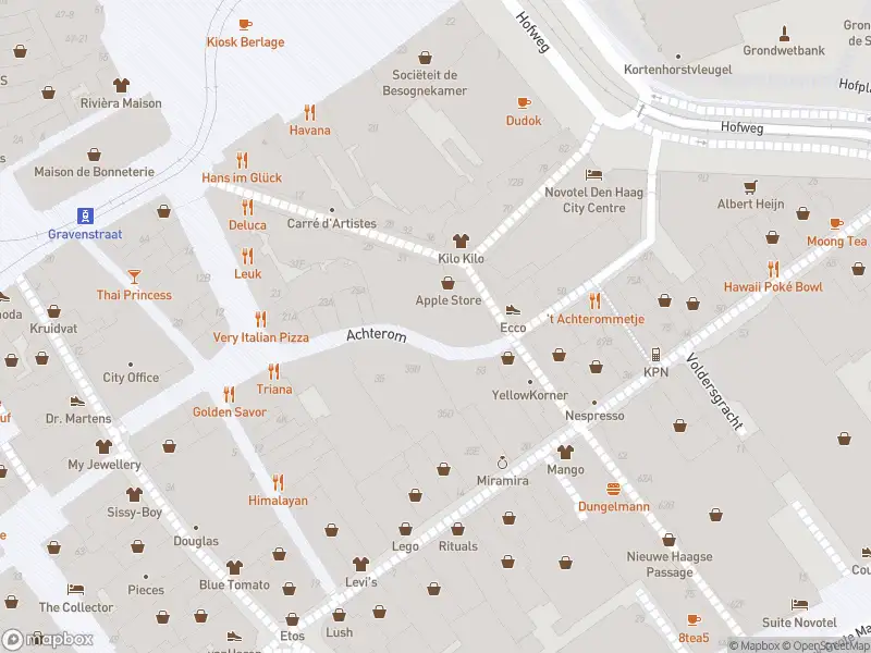 Ambulance met gepaste spoed naar de Hofweg in 's-Gravenhage