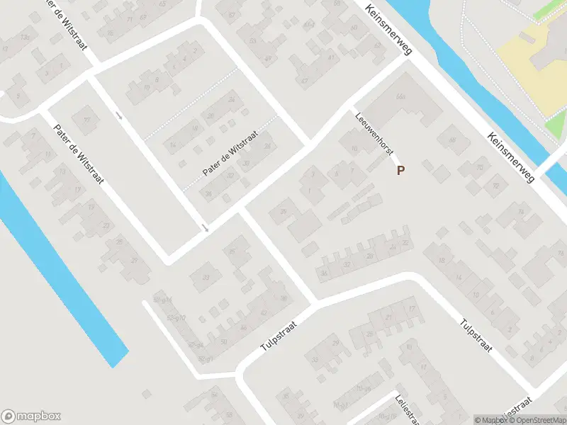 Overlastmelding Pater de Witstraat in 't Zand