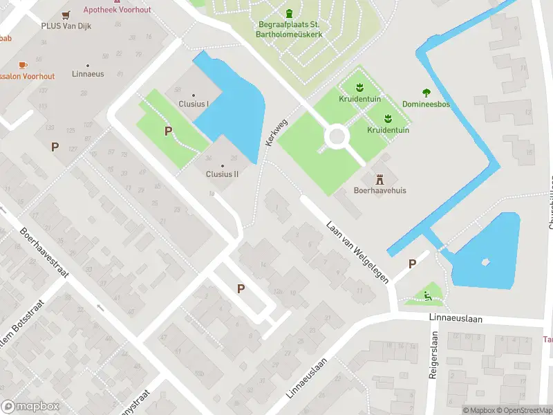 Overlastmelding Laan van Welgelegen in Voorhout (2215 HV)