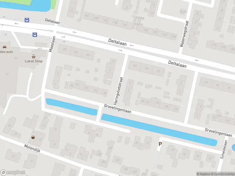 Overlastmelding Haringvlietstraat in Sliedrecht