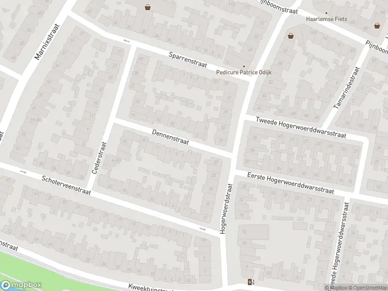 Ambulance met gepaste spoed naar de Dennenstraat in Haarlem