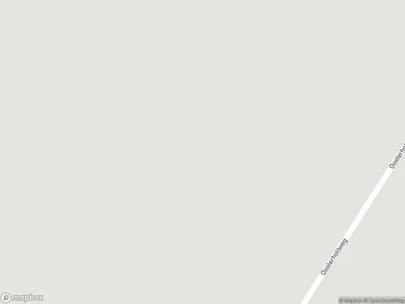 Brandweer met gepaste spoed naar de Oosterholtweg in Groenlo vanwege stormschade