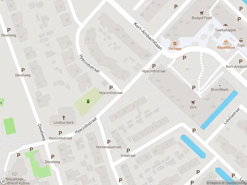 Overlastmelding Hyacinthstraat in Zwijndrecht gesloten