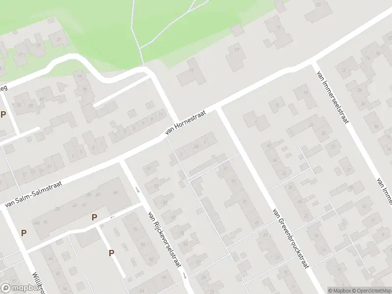 Overlastmelding Van Hornestraat in Loon op Zand