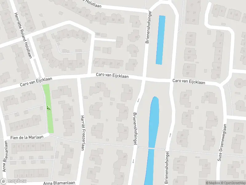 Overlastmelding Caro van Eijcklaan in Elst gesloten