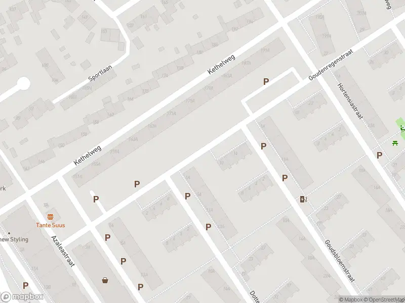 Brandweer met grote spoed naar de Goudenregenstraat in Vlaardingen vanwege voertuigbrand