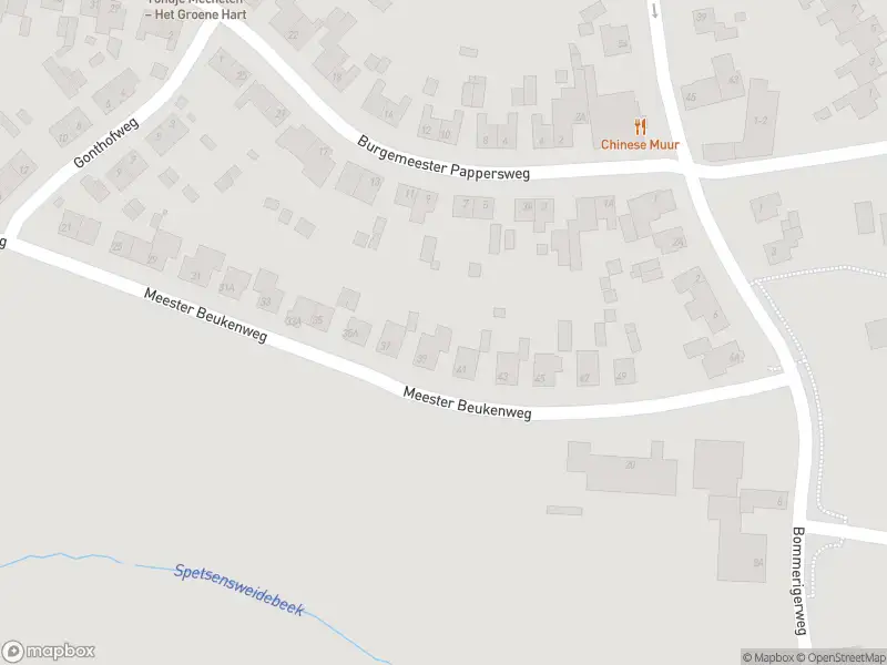 Brandweer met grote spoed naar de Hoofdstraat in Mechelen vanwege waarnemen gaslucht