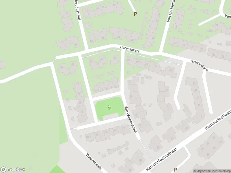 Overlastmelding Van Wittemstraat in Sint-Michielsgestel