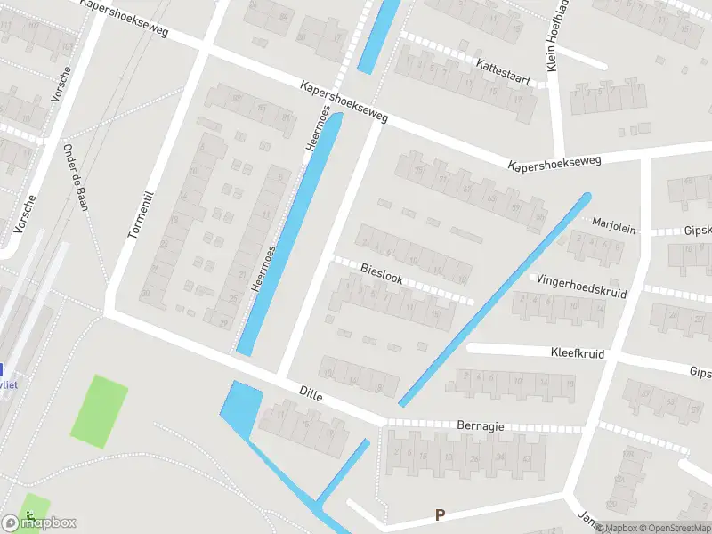 Brandweer met grote spoed naar de Bieslook in Hoogvliet Rotterdam vanwege reanimatie