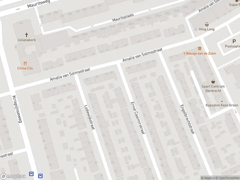 Ambulance met gepaste spoed naar de Ernst Casimirstraat in Dordrecht