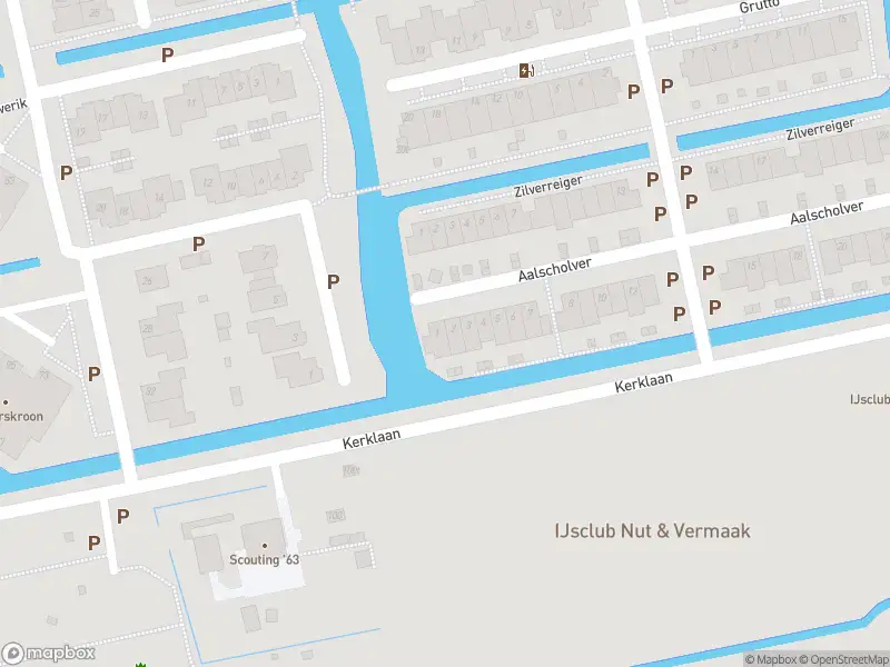 Overlastmelding Aalscholver in Leimuiden