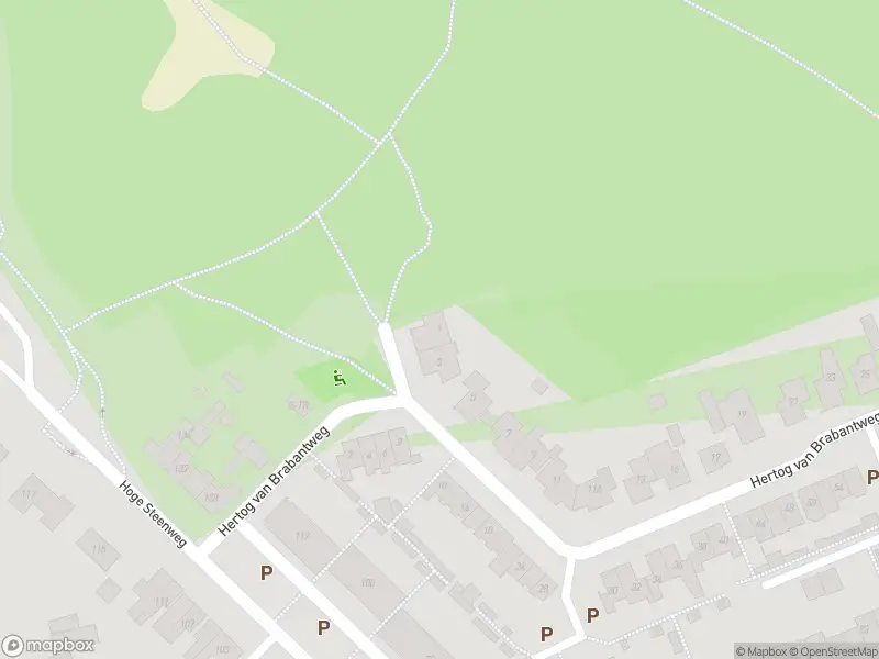 Overlastmelding Hertog van Brabantweg in Loon op Zand